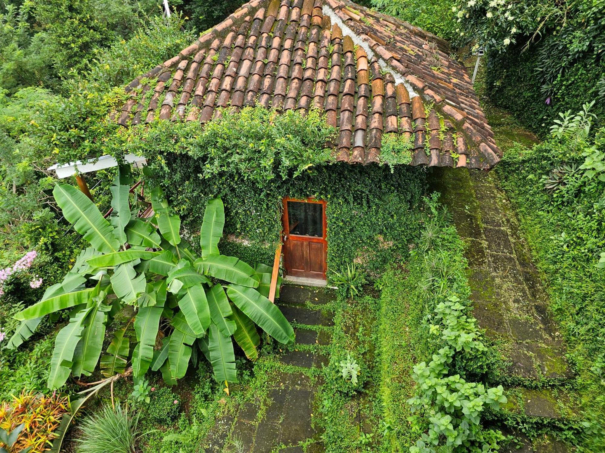 Отель Casa Andalucia Сан-Хуан-дель-Сур Экстерьер фото